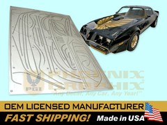 1979 1980 1981 Firebird Trans Am Special Edition Bandit formed Stripes Only Kit