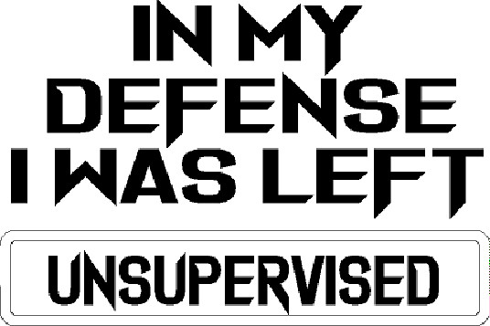 Funny In My Defense I Was Left Unsupervised Decal (6 Inches By 4 Inches)