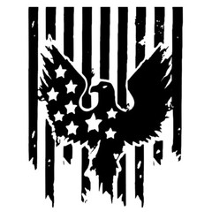 American Flag Bird Sticker Vinyl Decal for Car Truck Hood Body Side Door Decor