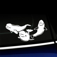 Beluga Whales – Vinyl Sticker Indoor Outdoor Decal – You choose the color