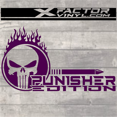 Flaming Skull Punishment Limited Edition Dicut Decal 2 Sizes FREE SHIPPING