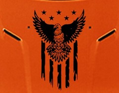 EAGLE American Flag Hood Door Vinyl Decal Racing Stripes (Fits CHALLENGER)