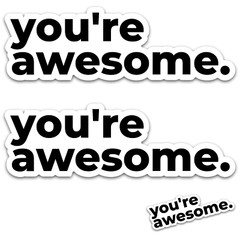 Funny Text Quote Vinyl Bumper Sticker Decal (3PCS) – “You’re Awesome”