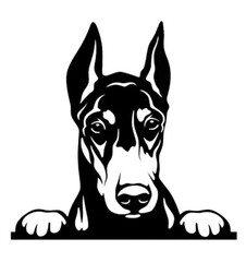 Doberman Pinscher Dobermann TWO Black Vinyl Decals Car Window Notebook Laptop