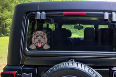 Labradoodle Decal sticker window cling, easy apply uv water resistant