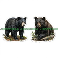 Black Bear Vinyl Decal Sticker 2 Pack A