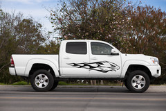 2 Eagle Flame Vinyl Decals Truck, Motorcycle Tank, Car Decals A102
