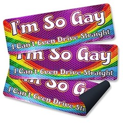 Im so Gay I Cant Even Drive Straight -Reflective Car Auto Bumper Magnet -Hilario