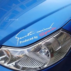 Sport Mind Produced by Sports Headlight Eyebrow Eyelid Car Body Racing Stickers