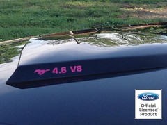 Ford Mustang Hood Scoop Decals For V6 & V8 Vinyl Decals Graphics Stickers 94-98
