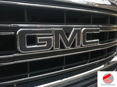 Precut DECALS for 2018 2019 2020 2021 GMC Terrain Emblem Overlay Set