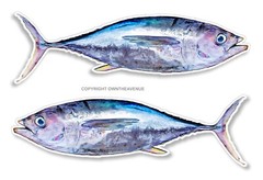 2 Pack – Tuna Fish Fishing Left Right V02 Vinyl Sticker Decals 4″