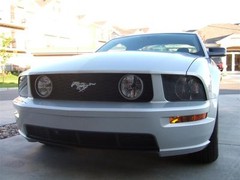 2005-2009 Ford Mustang Front Bumper Insert- Decal Sticker Vinyl Graphics Lower