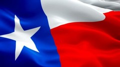 WAVING TEXAS FLAG USA RED WHITE BLUE VINYL STICKER DECAL MATTE UV LAMINATED