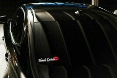 STICKERCORP – FEMALE DRIVEN – CAR WINDOW DECAL VINYL STICKER
