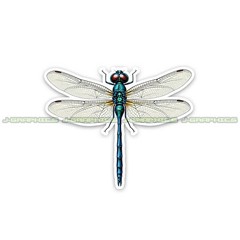 Dragonfly vinyl decal sticker A