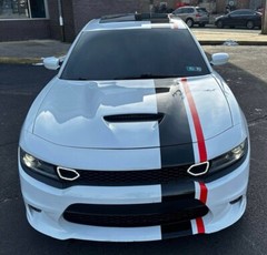 Universal 2color Offset stripes compatible with Charger Challenger Mustang Mini