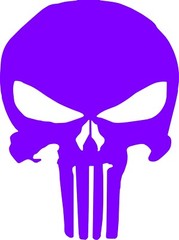 Punisher Emblem Logo Vinyl Decal Multiple Colors and Sizes