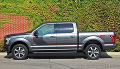 2015-2020 Hockey Side Vinyl Graphics Kit Decals Stripes SIDELINE for Ford F-150