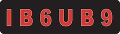 I B 6 U B 9 Helmet Sticker EE