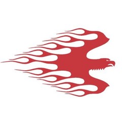 FLAME DECAL #EXF16 VINYL GRAPHIC CAR TRUCK VEHICLE FIRE AUTO VAN BIRD FIRE SUV