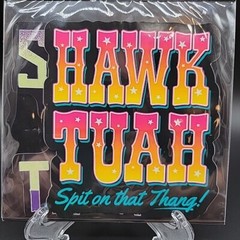 Hawk Tuah Spit on that Thang 2 Decals Removable Use on Any Smooth Surface Spirit