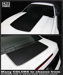Ford Mustang 2010-2014 Hood and Trunk Stripes Decals (Choose Color)