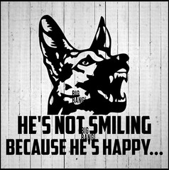 BEWARE OF DOG Decal Sticker Car Truck Truck SUV Van Car Window