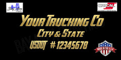 TRUCK DOOR DECALS SET X2 CUSTOM USDOT COMPANY NAME CITY STATE VINYL