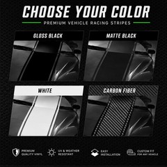 Challenger Shaker Stripes FULL SET -Fits 2009 2010 2011 2012 2013 2014 2015 2016