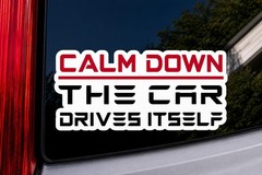 Calm Down The Car Drives Itself Sticker 3.5×1.75 Funny Tesla Car Window EV Decal