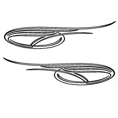 High-Quality Vinyl Pinstripe / Scroll Decal -Many Colors & Sizes- Free Shipping!