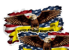 American Flag Eagle These Colors Never Run Decal Mirrored Pro America 6″ x 3.4″