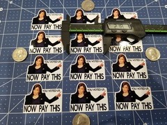 12PCS KAMALA FUNNY STICKER. YOU VOTED US NOW PAY THIS. (POINTED TO YOUR RIGHT)