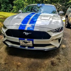 6″ PLAIN Rally Racing Stripe Graphics Stripes Set FIT 2015 – 2025 Mustang