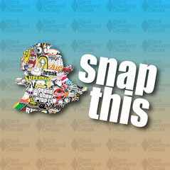 Snap This Snapchat Stickerbomb Funny Drift Lower MEME 5″ Vinyl Decal Sticker JDM