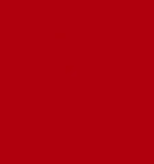 NEW 9″ Double Center RACING STRIPES Red vinyl Car truck Decal (Chevy CAMARO)
