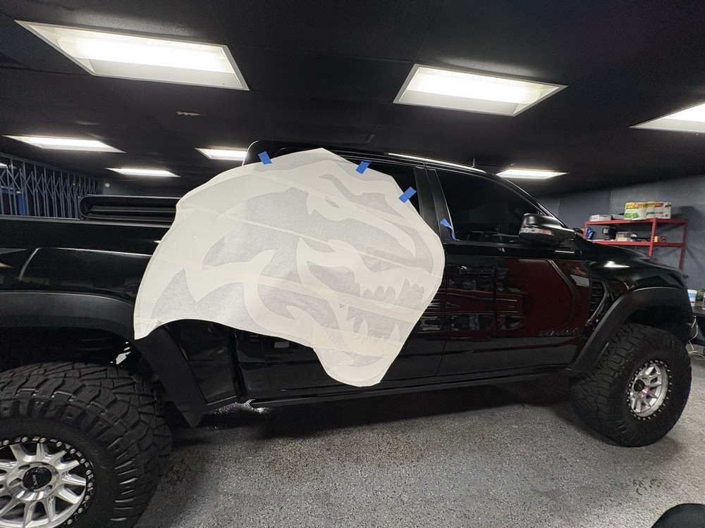 T-Rex Dino Both Sides With Bed Decals Both Sides As Well Total Of 4 Decals