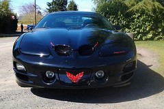 Front Overlay Decal – 98-02 Firebird