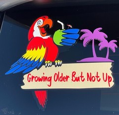Jimmy Buffett Growing Older But Not Up Tropical car sticker decal 5.5 X5.5 in