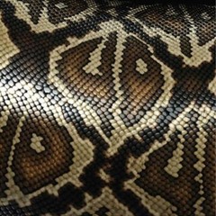 Snake Skin vinyl Wrap air release MATTE Finish 12″x12″