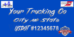 COMMERCIAL TRUCK USDOT DOOR DECALS 2X CUSTOM CITY STATE VINYL MADE IS USA