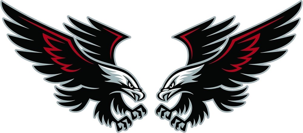 Soaring Hawk Pair Decal