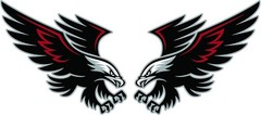 Soaring Hawk Pair Decal