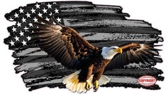 Worn American Flag Black and White with Colored Eagle Decal