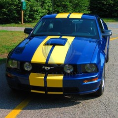 Matte Metallic Satin Pearl Racing Stripes Vinyl Wrap Rally Sticker 25/50 Feet