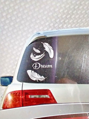 5 Count Exterior Decal Dream Feathers for Cars Trucks AUTO DRIVE (Made in USA)