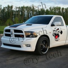 Universal 1x Horror Ape Beast Totem Graphic Sticker Side Body Hood Fender Decal