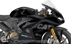 NEW Graphic kit for DUCATI PANIGALE V2 (2019~2024) Full Graphic kit (WRC-BB)