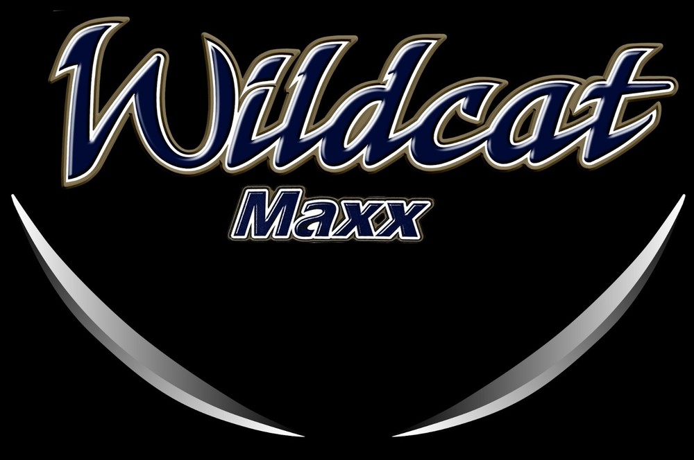 4 RV Trailer Camper Wildcat Max Logo Front Cap Stripe Graphics Decals-3069